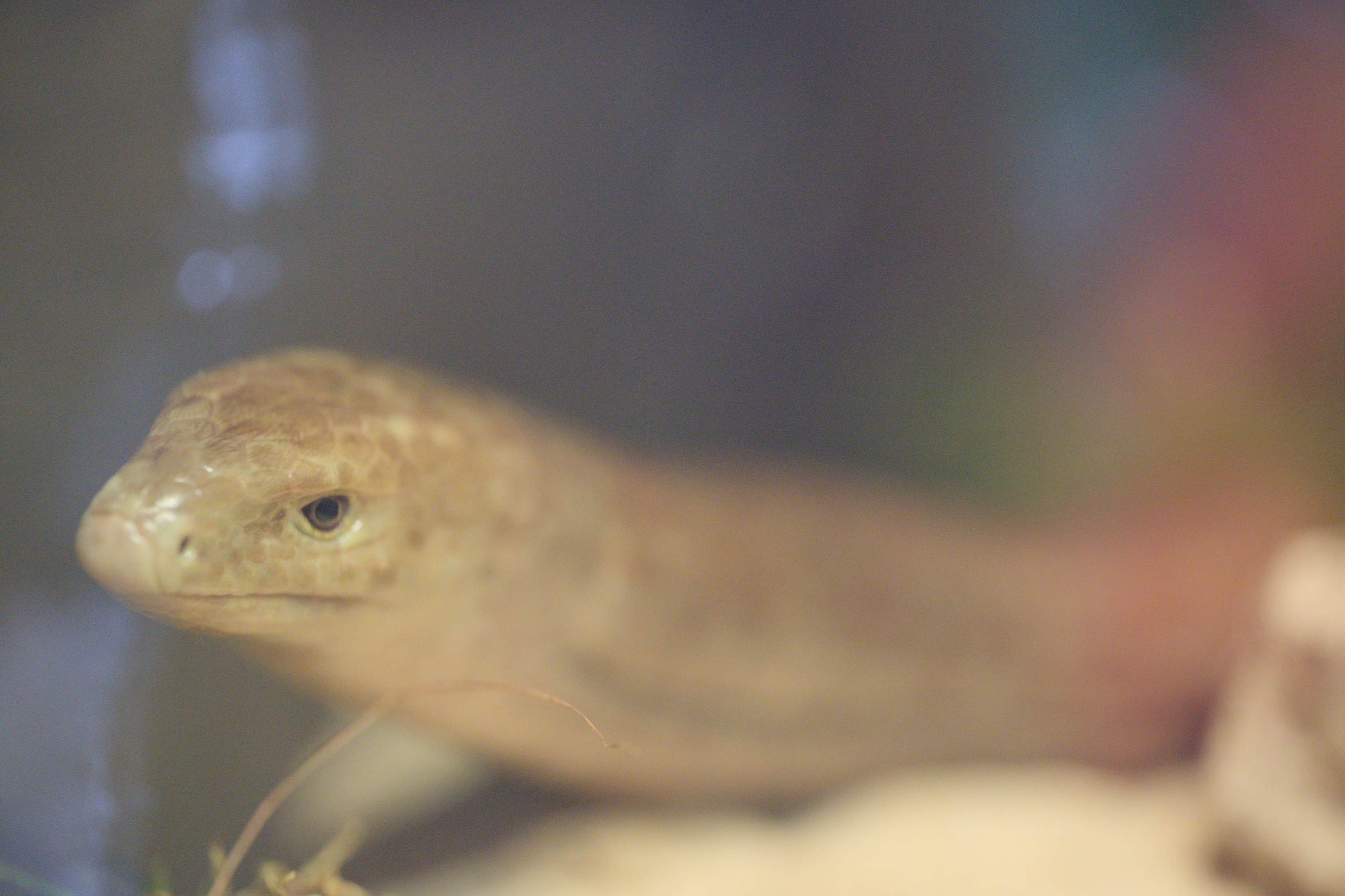 2025/10/12 - zoo/DSC_0182.jpg